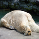 Illustration for article titled This Is What It’s Like To Be Hungover At 34